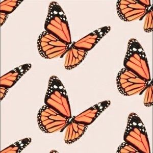 Meet your Posher, Shania